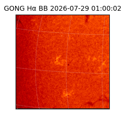 gong - 2026-07-29T01:00:02