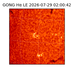 gong - 2026-07-29T02:00:42