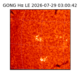 gong - 2026-07-29T03:00:42
