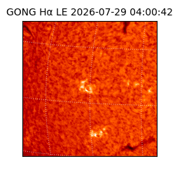 gong - 2026-07-29T04:00:42