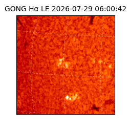 gong - 2026-07-29T06:00:42