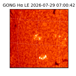gong - 2026-07-29T07:00:42