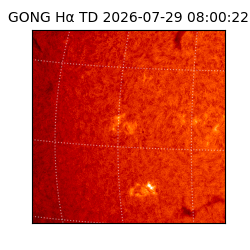 gong - 2026-07-29T08:00:22