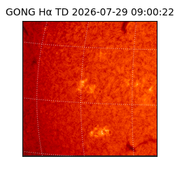 gong - 2026-07-29T09:00:22