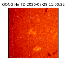 gong - 2026-07-29T11:00:22