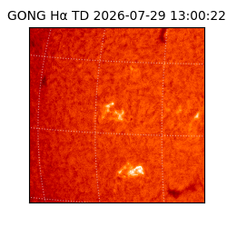 gong - 2026-07-29T13:00:22