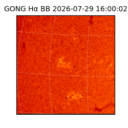 gong - 2026-07-29T16:00:02