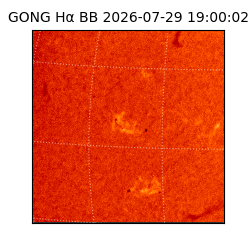 gong - 2026-07-29T19:00:02