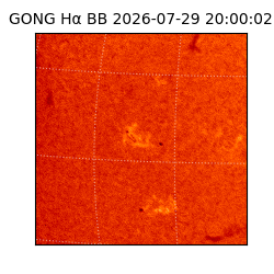 gong - 2026-07-29T20:00:02
