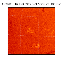 gong - 2026-07-29T21:00:02