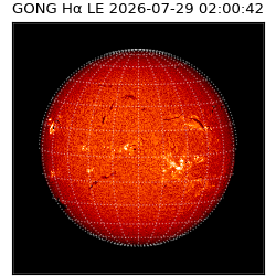 gong - 2026-07-29T02:00:42