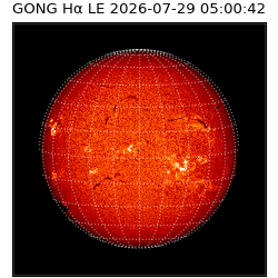 gong - 2026-07-29T05:00:42