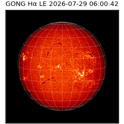 gong - 2026-07-29T06:00:42