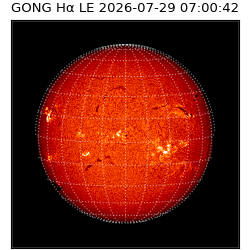gong - 2026-07-29T07:00:42