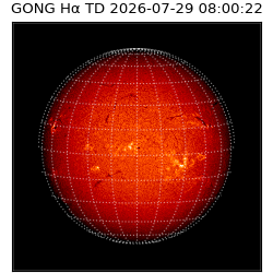 gong - 2026-07-29T08:00:22