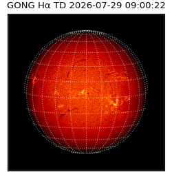 gong - 2026-07-29T09:00:22