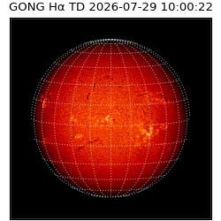 gong - 2026-07-29T10:00:22