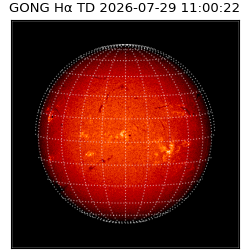 gong - 2026-07-29T11:00:22