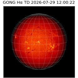 gong - 2026-07-29T12:00:22