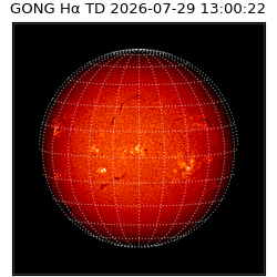 gong - 2026-07-29T13:00:22