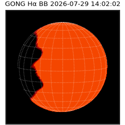 gong - 2026-07-29T14:02:02