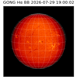 gong - 2026-07-29T19:00:02