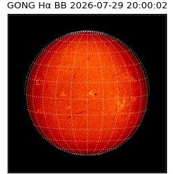 gong - 2026-07-29T20:00:02