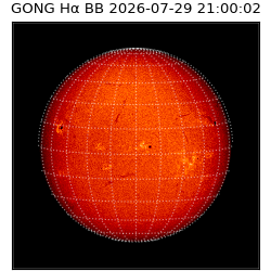gong - 2026-07-29T21:00:02