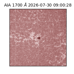 saia - 2026-07-30T09:00:28.716000