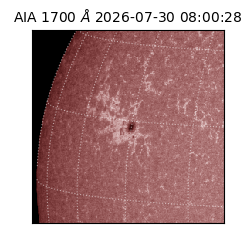saia - 2026-07-30T08:00:28.717000