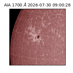 saia - 2026-07-30T09:00:28.716000