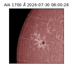 saia - 2026-07-30T08:00:28.717000
