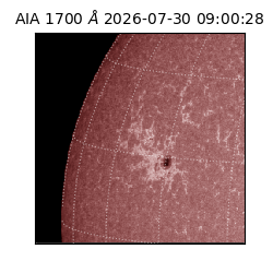 saia - 2026-07-30T09:00:28.716000