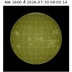 saia - 2026-07-30T08:00:14.124000