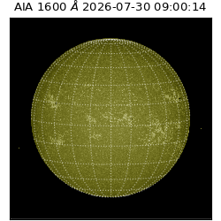 saia - 2026-07-30T09:00:14.124000