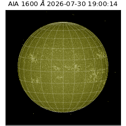 saia - 2026-07-30T19:00:14.123000