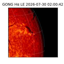 gong - 2026-07-30T02:00:42