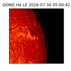 gong - 2026-07-30T05:00:42