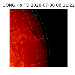 gong - 2026-07-30T08:11:22
