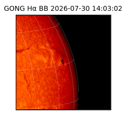 gong - 2026-07-30T14:03:02