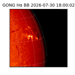 gong - 2026-07-30T18:00:02