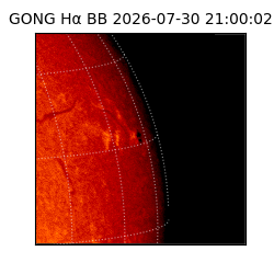 gong - 2026-07-30T21:00:02
