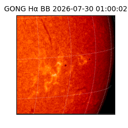 gong - 2026-07-30T01:00:02