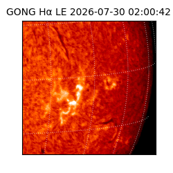 gong - 2026-07-30T02:00:42