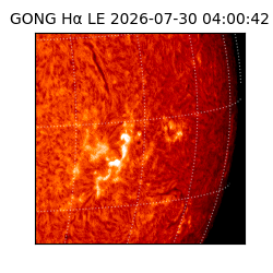 gong - 2026-07-30T04:00:42