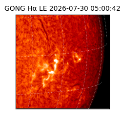 gong - 2026-07-30T05:00:42