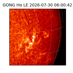 gong - 2026-07-30T06:00:42