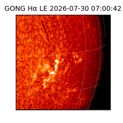 gong - 2026-07-30T07:00:42