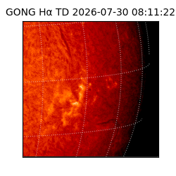 gong - 2026-07-30T08:11:22