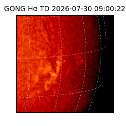 gong - 2026-07-30T09:00:22